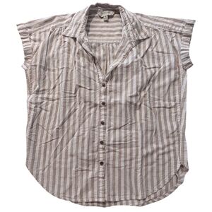 Striped Button Down Shirt - Brown and White